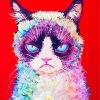 Rainbow Grumpy Cat paint by number