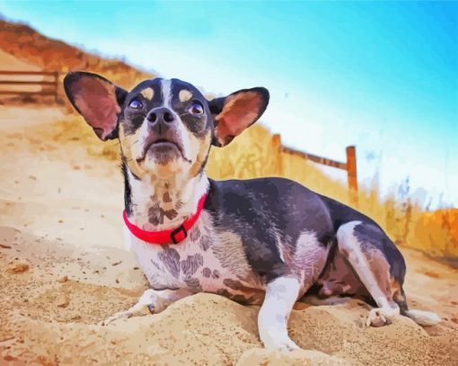 Rat Terrier At The Top Of A Hill paint by number