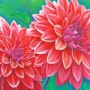 Red Blooming Dahlias paint by numbers