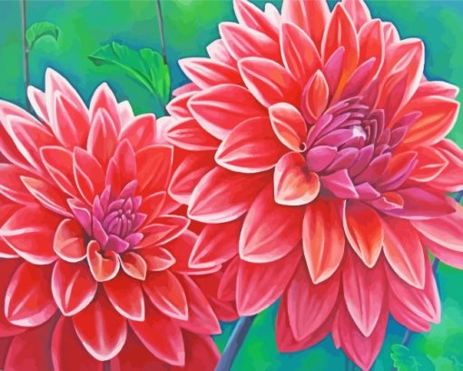 Red Blooming Dahlias paint by numbers