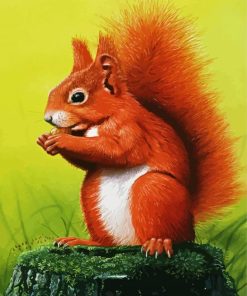 Red Squirrel paint by number