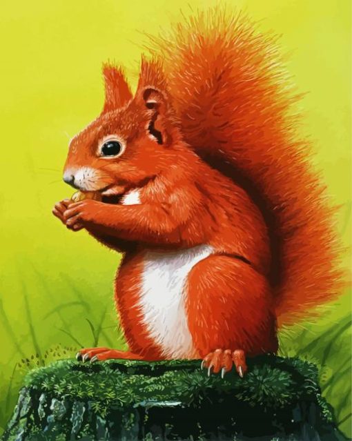 Red Squirrel paint by number