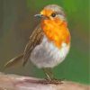 Robin Bird Art paint by numbers