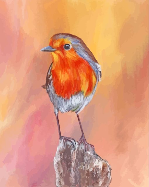 Robin Bird paint by numbers