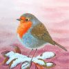 Robin In Snow paint by numbers