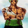 Roronoa Zoro Anime paint by numbers