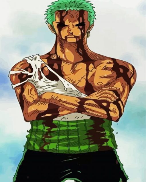 Roronoa Zoro Anime paint by numbers