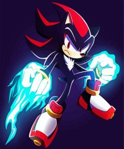 Shadow The Hedgehog paint by numbers