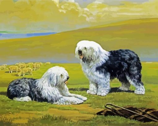 Sheepdogs Art paint by numbers