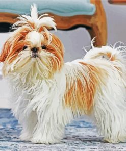 Shih Tzu Dog paint by number