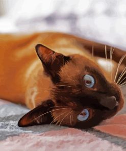 Siamese Cat paint by number