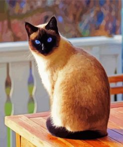 Siamese Kitten paint by number