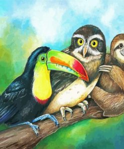 Sloth With Toucan And Owl paint by number