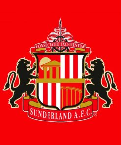 Sunderland AFC Logo paint by numbers