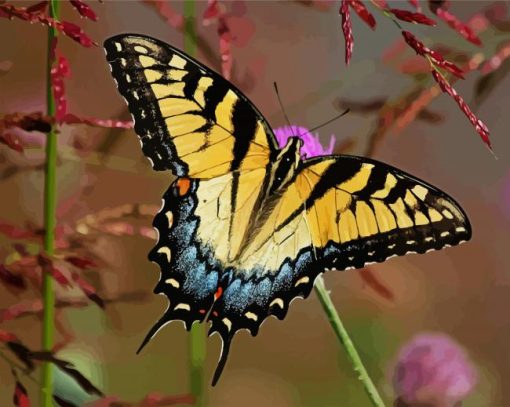 Swallowtail Butterfly paint by numbers