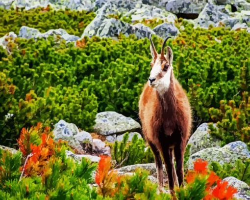 Tatra Chamois paint by numbers