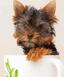 Teacup Yorkie paint by numbers