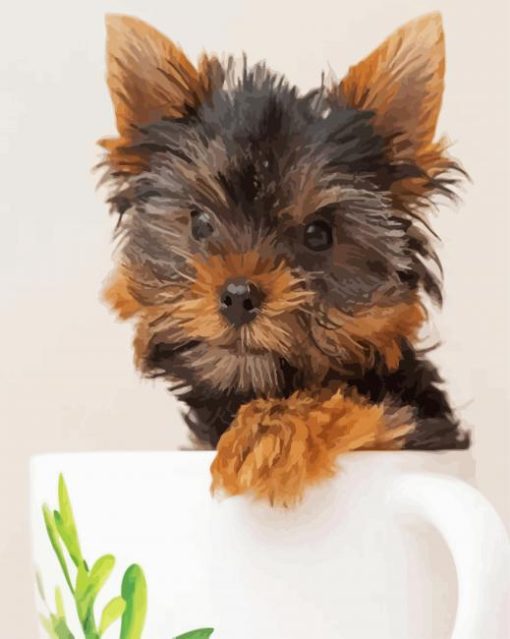 Teacup Yorkie paint by numbers