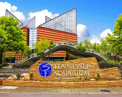 Tennesse Aquarium Chattanooga paint by numbers