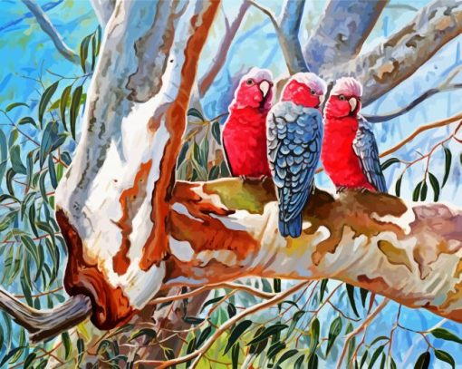 The Galah Cockatoo Birds paint by number