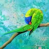 The Lorikeet Bird paint by numbers