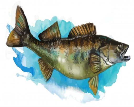 The Walleye Fish paint by numbers