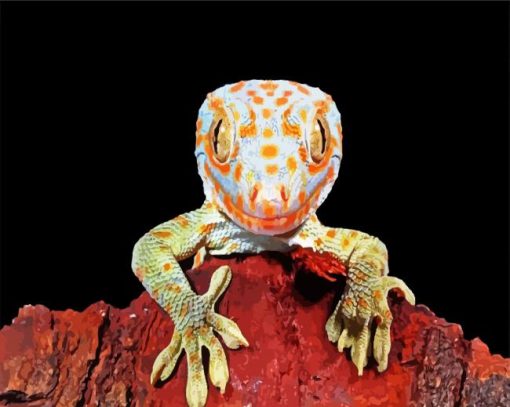 Tokay Gecko Lizard paint by number