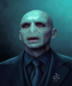 Voldemort paint by number