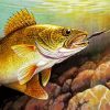 Walleye Fish paint by numbers