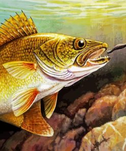 Walleye Fish paint by numbers