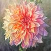 White Dahlia Art paint by number