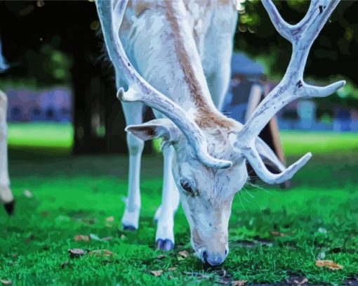 White Deer Eating Grass paint by number