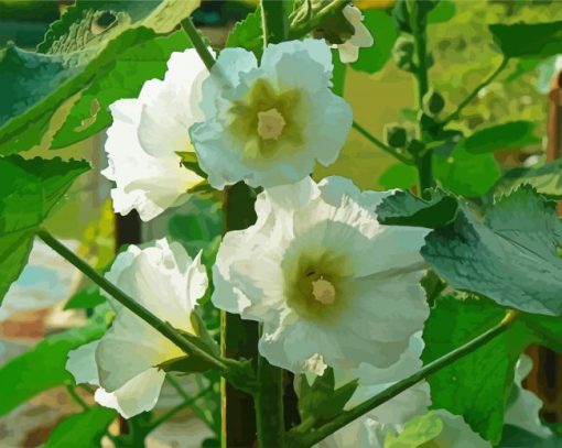 White Hollyhocks Flowers paint by numbers