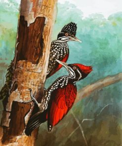 Woodpecker Bird paint by numbers