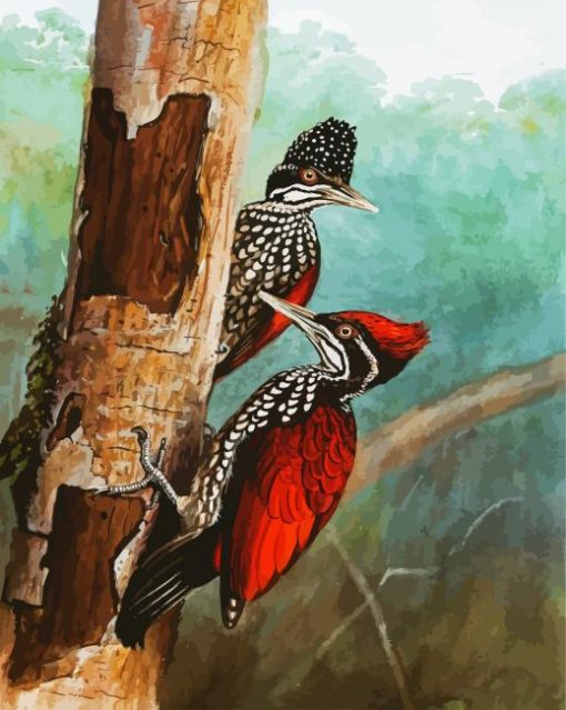 Woodpecker Bird paint by numbers