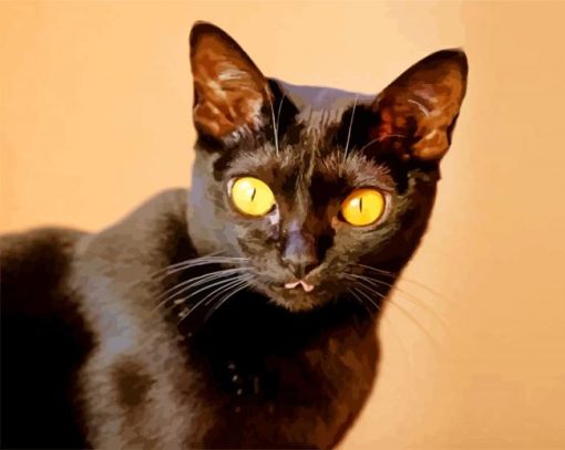 Yellow Eyed Bombay Cat paint by number