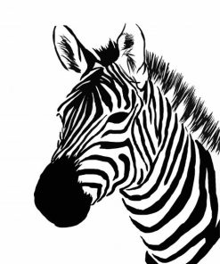 Zebra Head paint by numbers