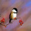 Aesthetic Chickadee paint by number