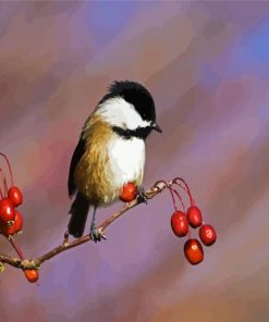 Aesthetic Chickadee paint by number