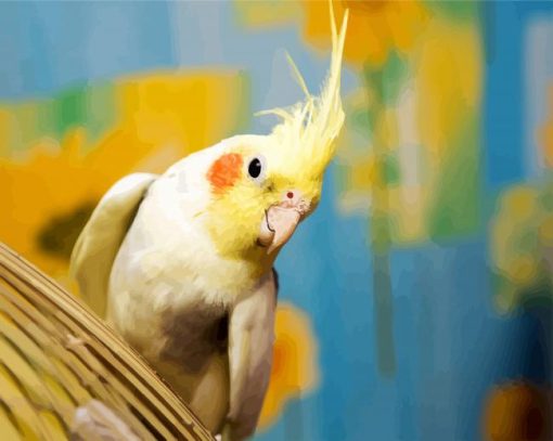 Aesthetic Cockatiel paint by number