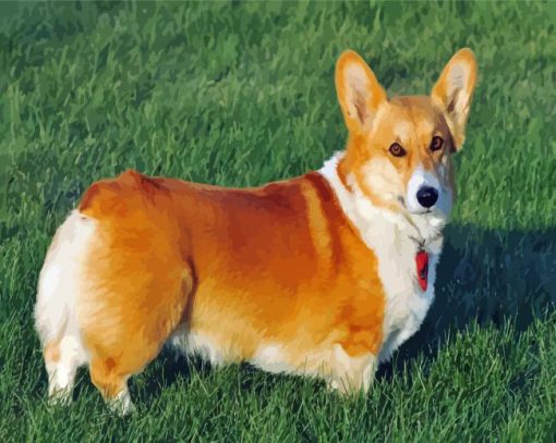 Aesthetic Corgis Dog paint by numbers