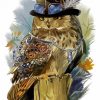 Steampunk Owl Bird paint by numbers