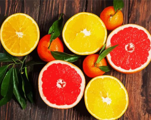 Aesthetic Citrus Fruits paint by number