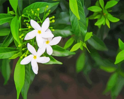 Aesthetic Jasmine Flowers paint by numbers