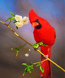 Aesthetic Red Cardinal Bird paint by number