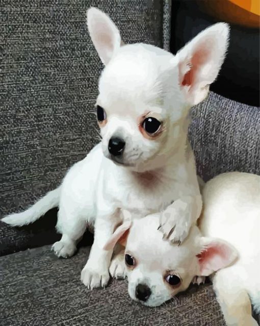 Aesthetic White Chihuahua Puppie paint by number