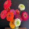 Aesthetic Zinnias paint by numbers