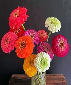 Aesthetic Zinnias paint by numbers