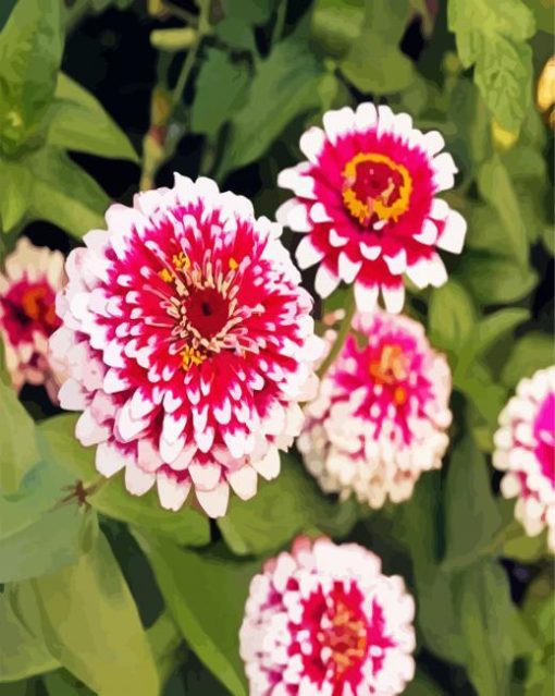 Aesthetic Zinnias paint by number