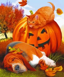 Basset Hound And Cat paint by numbers